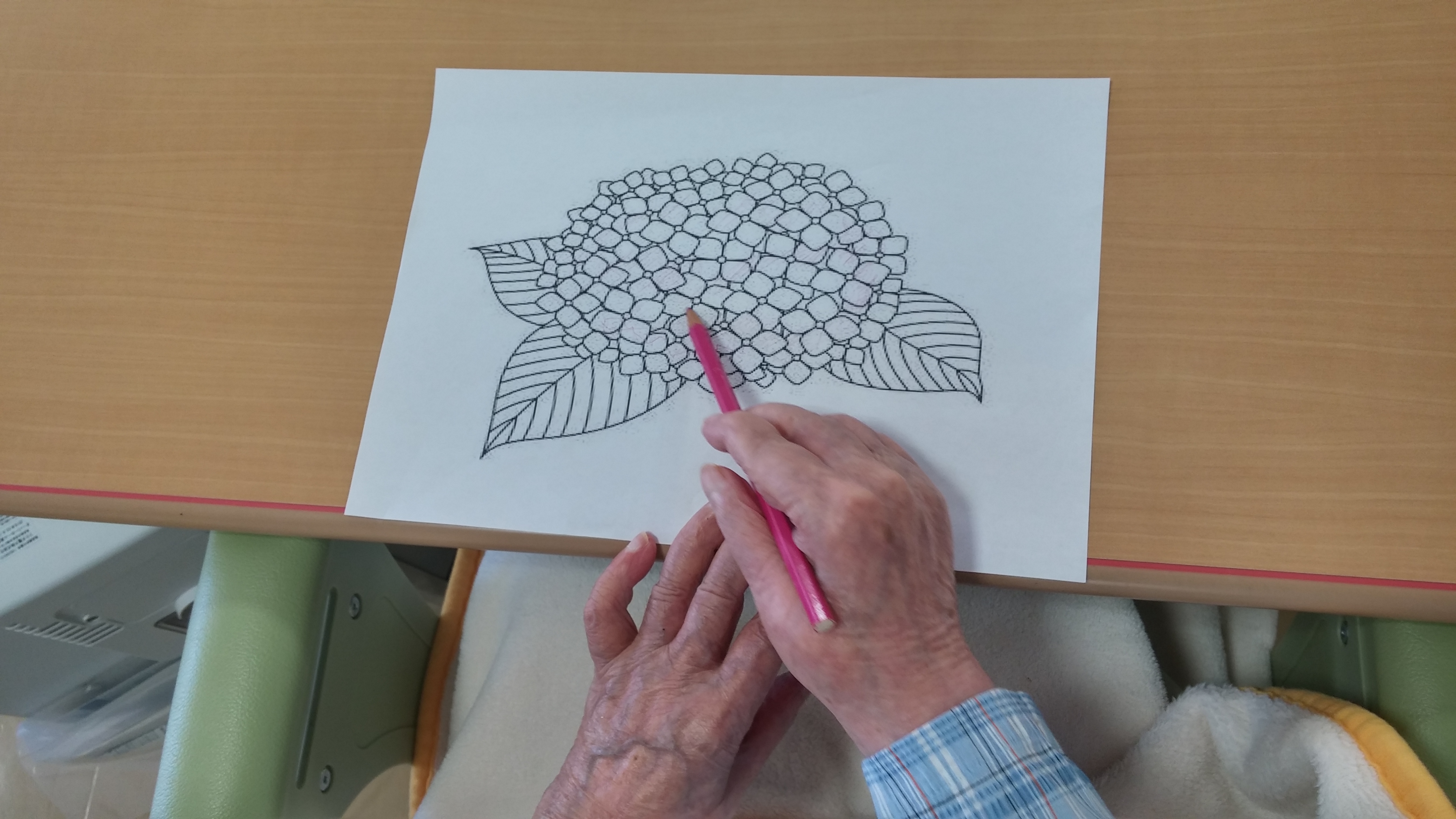 ６月の壁紙のテーマはこの季節にピッタリ紫陽花 高松市の老人ホーム レインボー恵はブログにて施設を紹介
