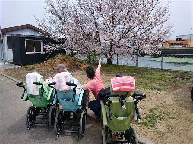 桜木神社・池のほとり　桜満開